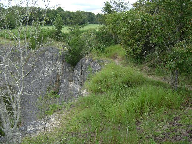 A scenic view of a rocky cliff surrounded by lush green grass and trees, with a pathway leading along the edge of the cliff. The landscape features a foreground of dry grasses and a distant open field visible through the trees. Haile's Trails mountain bike trail.