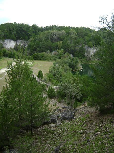 A scenic view of a lush, green landscape featuring dense trees and a calm water body. The foreground shows a variety of plants and rocky terrain, while the background includes steep cliffs and rich foliage. The sky is partially cloudy, adding to the serene atmosphere of the natural setting. Haile's Trails mountain bike trail.