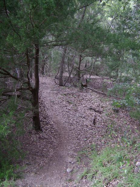 A narrow, winding dirt trail meanders through a dense forest, surrounded by trees and scattered leaves on the ground. The scene is lush with greenery, indicating a natural, tranquil environment. Haile's Trails mountain bike trail.