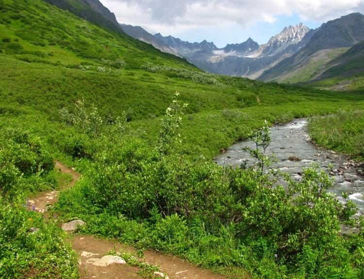 A scenic landscape featuring a winding dirt path along a lush, green riverbank. The background showcases majestic mountains with peaks partially covered in snow, under a partly cloudy sky. The vibrant vegetation and serene water create a tranquil, natural setting. Gold Mint Glacier mountain bike trail.