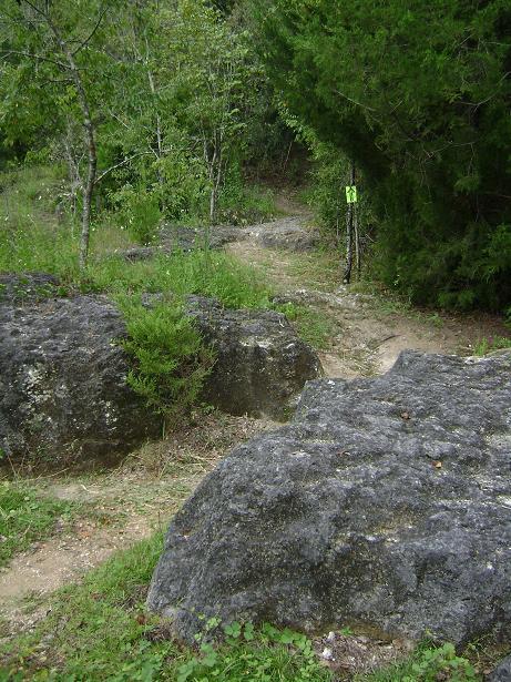 A winding dirt path leading through a natural landscape, flanked by large rocks and greenery. Small trees and shrubs surround the area, with a bright yellow marker visible on a post along the trail. The scene conveys a tranquil outdoor setting, ideal for hiking or exploration. Haile's Trails mountain bike trail.