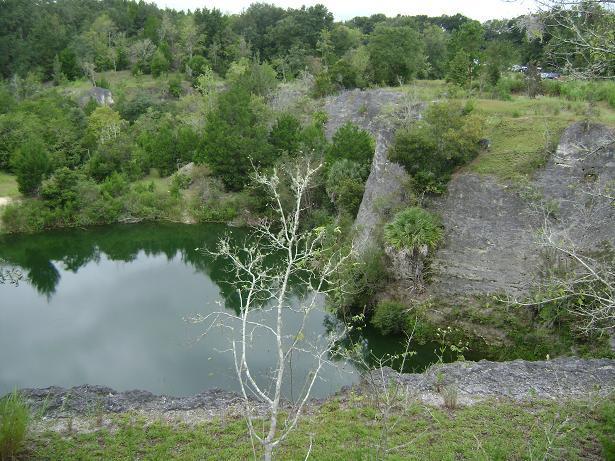 A scenic view of a tranquil pond surrounded by lush greenery and rocky cliffs. The water reflects the surrounding trees, creating a peaceful natural setting. Sparse vegetation includes a bare tree in the foreground, highlighting the rocky terrain and vibrant foliage in the background. Haile's Trails mountain bike trail.