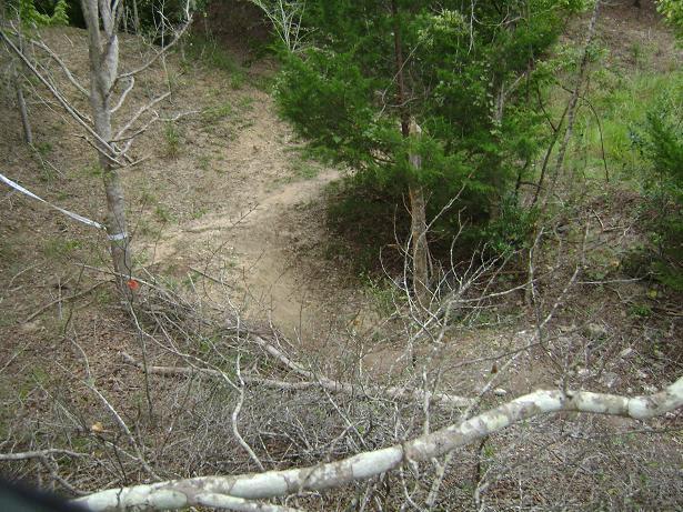 A narrow dirt path winding through a wooded area, lined with sparse trees and underbrush. The scene captures a mix of greenery and bare branches, indicating an early spring or late fall atmosphere. Haile's Trails mountain bike trail.