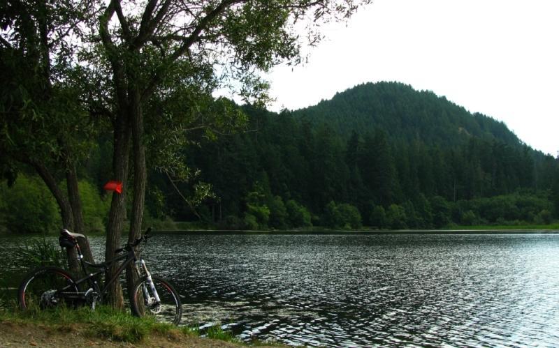 A serene lakeside scene featuring a bicycle leaning against a tree, with a backdrop of lush green hills and a calm water surface reflecting the landscape. The area is surrounded by dense forests, creating a peaceful natural setting. Whistle Lake - Acfl mountain bike trail.