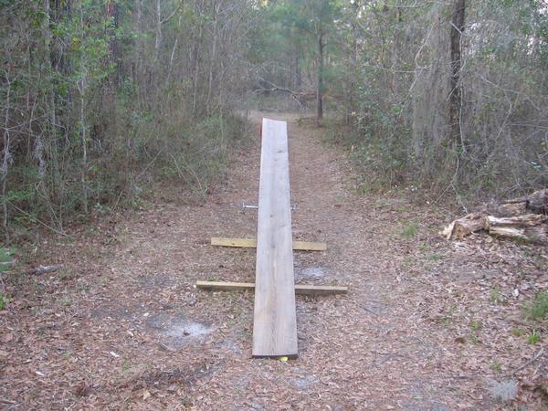 A wooden plank is positioned on two supports in a wooded area, creating a makeshift balance beam. The surrounding path is covered with fallen leaves and flanked by trees, indicating a natural outdoor setting. The Rock Trail mountain bike trail.
