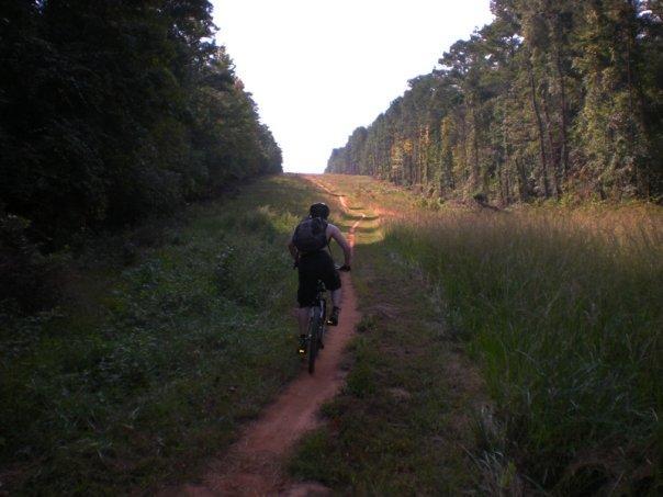 A cyclist riding down a dirt path surrounded by lush greenery and tall grass, with a tree line visible on either side, leading into the distance. Fort Yargo State Park mountain bike trail.