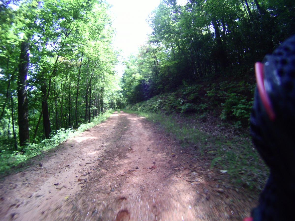 A dirt trail winding through a lush, green forest, with tall trees lining both sides. Sunlight filters through the leaves, illuminating the path. The ground is uneven with patches of dirt and small rocks, suggesting it is suitable for off-road biking or hiking. The perspective shows part of a person's hand or glove on the right side of the image. Bull / Jake Mountain mountain bike trail.
