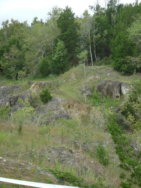 A landscape featuring a grassy hill surrounded by various trees and rocky terrain, with greenery and sparse vegetation in the foreground. The background includes dense forested areas and a cloudy sky. Haile's Trails mountain bike trail.