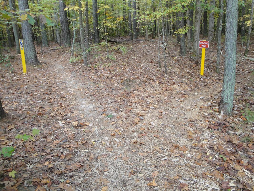 A forested area featuring a fork in the trail, with one path leading to the left and the other to the right. Yellow markers indicate the trail direction, and a red sign warns of the "WRONG WAY." The ground is covered with fallen leaves and twigs, surrounded by trees displaying autumn foliage. Freedom Park (aka:district Park) mountain bike trail.