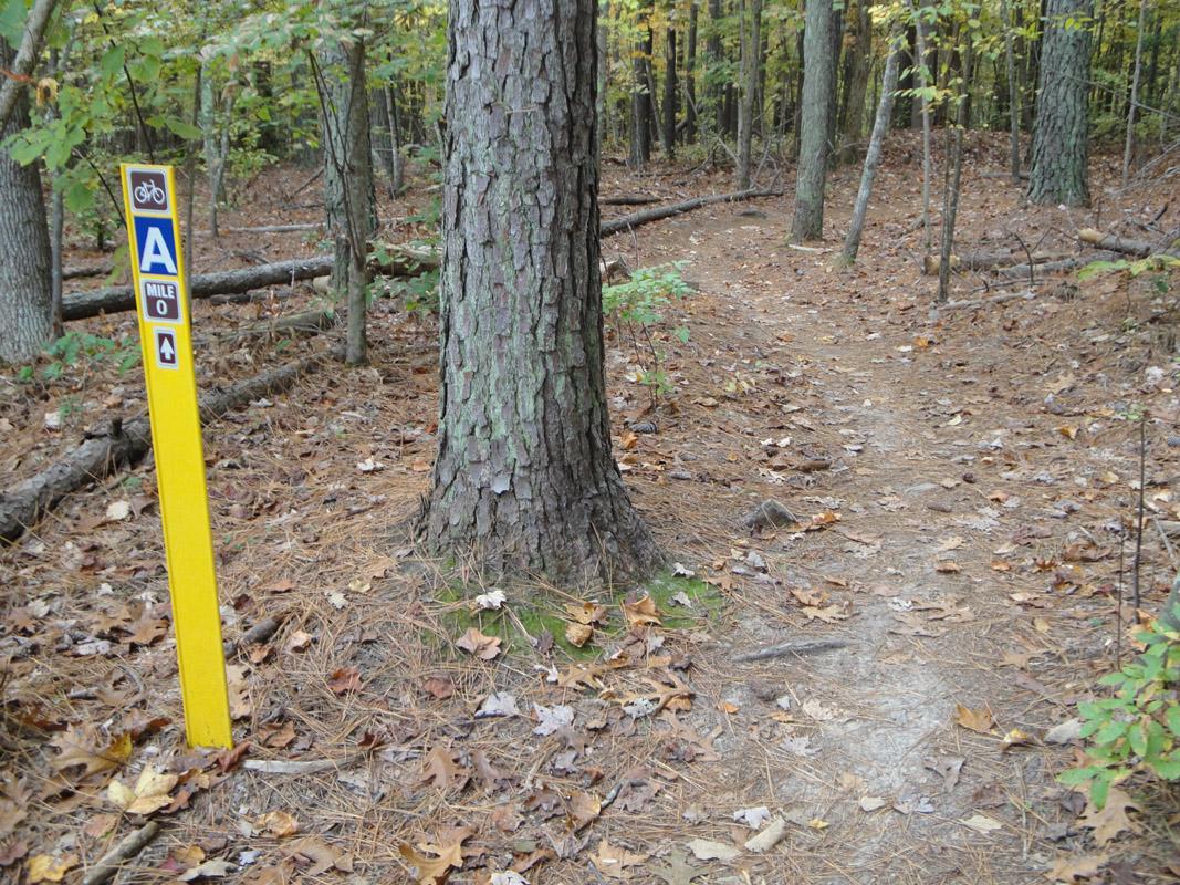 A winding dirt path in a forest, surrounded by trees with autumn foliage. A yellow trail sign marked "A" with a bike symbol and "MILE 0" indicates the start of the bike trail. Pine needles and fallen leaves cover the ground along the path. Freedom Park (aka:district Park) mountain bike trail.