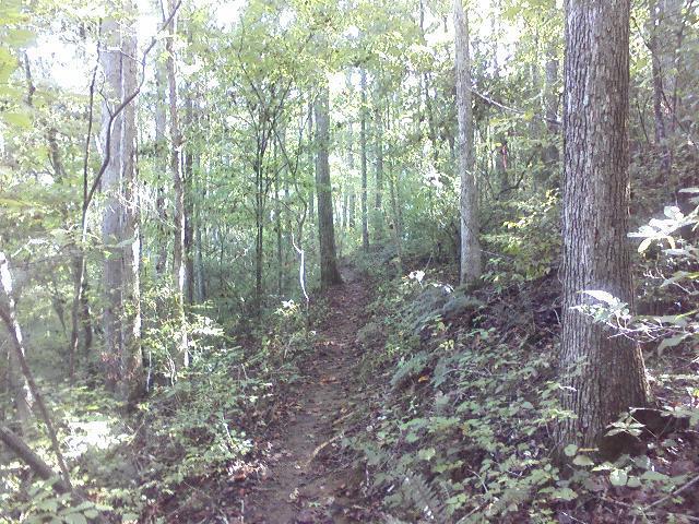 A narrow dirt path winding through a lush green forest, lined with tall trees and dense foliage, with dappled sunlight filtering through the leaves. Heritage Park mountain bike trail.
