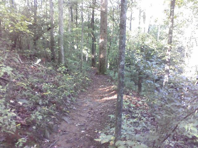A narrow, winding trail through a lush forest, surrounded by tall trees and dense greenery, with patches of sunlight filtering through the leaves. Heritage Park mountain bike trail.