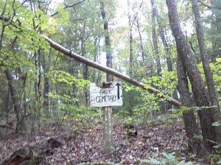 A wooden signpost in a wooded area indicating the direction to "Creek Cemetery." The sign is partially obscured by a fallen branch, and the ground is covered with leaves and natural greenery. Black Branch mountain bike trail.
