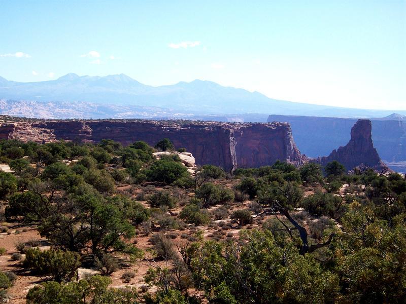 A panoramic view of a rugged canyon landscape, featuring distant mountains under a clear blue sky. The foreground includes scattered greenery and rock formations, with steep cliffs visible in the background. Dead Horse Point State Park mountain bike trail.