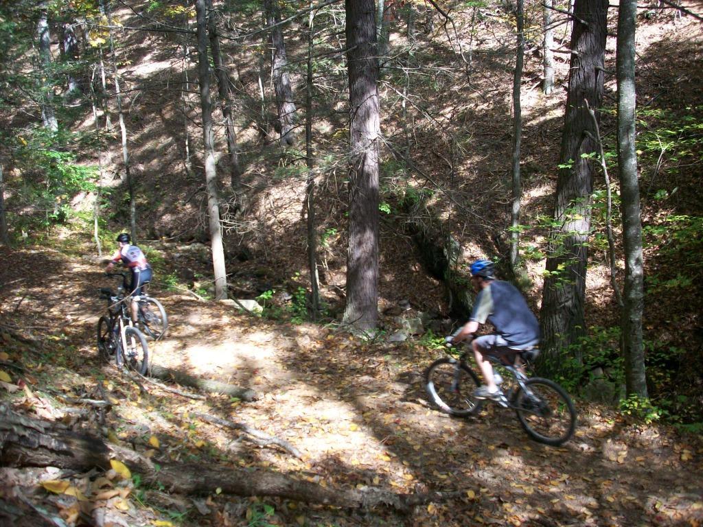 Two mountain bikers navigate a wooded trail covered in autumn leaves. The scene features tall trees and dappled sunlight filtering through the foliage, creating a vibrant, natural setting. Douthat State Park mountain bike trail.