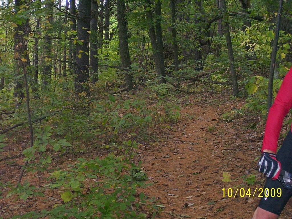 A dirt path winding through a dense forest of trees, with scattered greenery and fallen leaves. The right side of the image shows an arm in a red long-sleeve shirt and black gloves, suggesting an outdoor activity such as mountain biking or hiking. The ground is covered in a mix of dirt and leaves, indicating an autumn setting. The date in the bottom corner shows October 4, 2009. Strouds Run State Park mountain bike trail.