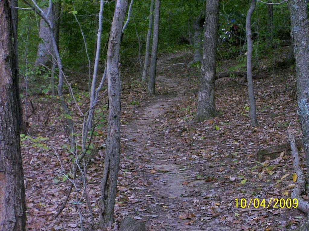 A narrow dirt path winding through a wooded area, surrounded by trees and fallen leaves, with a muted color palette suggesting an autumn setting. Strouds Run State Park mountain bike trail.