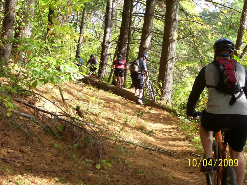 A group of mountain bikers navigating a wooded trail surrounded by tall trees and fallen leaves. The path is slightly elevated, and the bikers are seen from behind, each carrying their bikes while enjoying a sunny day outdoors. Strouds Run State Park mountain bike trail.
