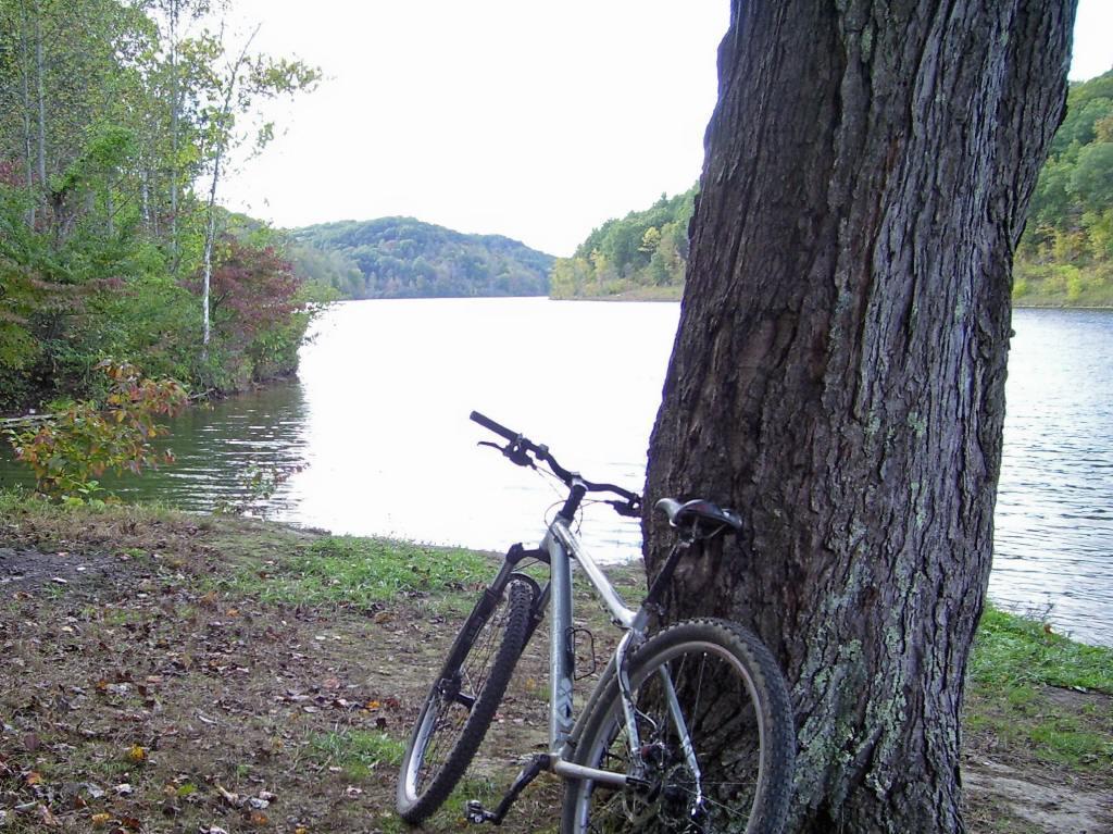 A mountain bike leaning against a large tree at the edge of a calm lake, surrounded by lush greenery and rolling hills in the background. The scene captures a peaceful outdoor setting with a mix of foliage and serene water. Strouds Run State Park mountain bike trail.