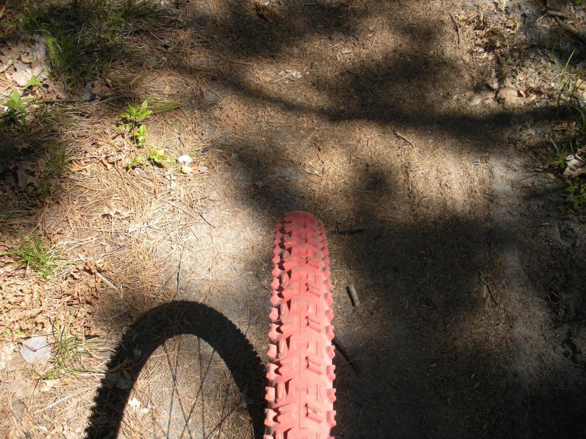 A close-up view of a red bicycle tire with a textured tread, positioned on a dirt trail surrounded by patches of grass and pine needles. The tire casts a shadow on the ground, and the sunlight creates a dappled effect on the surface. Pontiac Lake mountain bike trail.