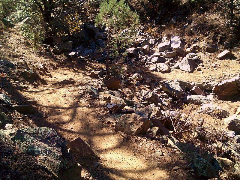 A rocky dirt path winding through a natural landscape, surrounded by trees and shrubbery. Sunlight casts shadows on the ground, highlighting the uneven terrain and scattered rocks along the trail. Trail #305 mountain bike trail.