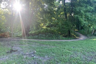 A sunburst shines through the trees, illuminating a winding dirt path that meanders through a lush green forest setting. The ground is covered in grass and scattered twigs, with vibrant greenery surrounding the path, creating a serene and inviting atmosphere. Creve Couer Park mountain bike trail.