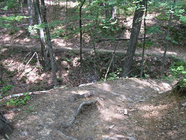 A wooded trail with dirt paths winding through the trees. The foreground shows a rocky, uneven area leading to a drop, while the background features a well-defined trail visible through the greenery. Sunlight filters through the leaves, creating dappled light on the ground. Carvin's Cove Trail system mountain bike trail.