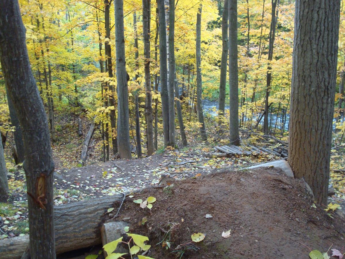 A serene forest scene during autumn, featuring tall trees with vibrant yellow leaves. In the foreground, there is a dirt path leading down into the woods, alongside a fallen log. The background shows more trees and hints of a stream, partially visible through the foliage. The ground is scattered with leaves, and the overall atmosphere conveys a peaceful, natural environment. Noquemanon Trails Network: South Marquette Trails mountain bike trail.