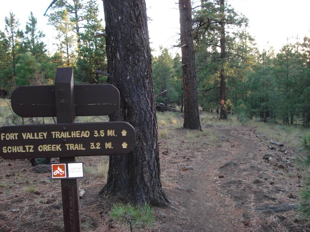 Signpost indicating the Fort Valley Trailhead at 3.5 miles and Schultz Creek Trail at 3.2 miles, surrounded by tall pine trees and a dirt path leading into the forest. Fort Valley Trail System mountain bike trail.