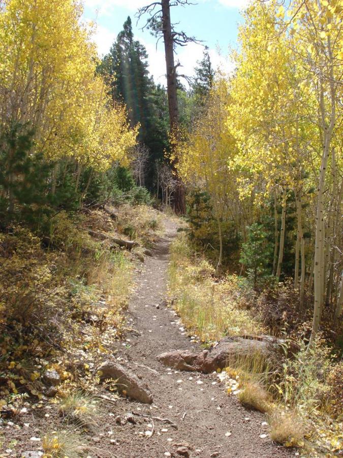 A winding dirt trail lined with golden aspen trees and patches of greenery, leading deeper into a forested area under a blue sky with scattered clouds. Sunset Trail mountain bike trail.