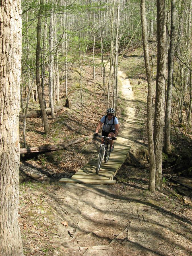 A mountain biker riding along a narrow wooden bridge over a creek, surrounded by a lush forest with tall trees and green foliage. The trail winds through the woods, showcasing a mixture of dirt and fallen leaves on the ground. Freedom Park (aka:district Park) mountain bike trail.