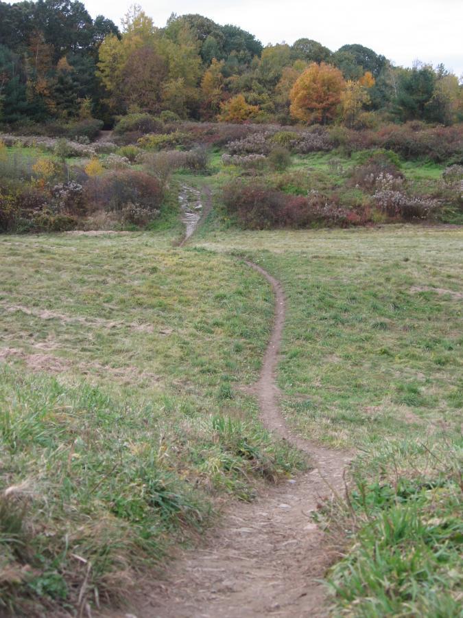 A winding dirt path through a grassy field, surrounded by shrubs and trees displaying autumn foliage in shades of orange, yellow, and green. The path leads into the distance, inviting exploration of the natural landscape. Callahan State Park mountain bike trail.