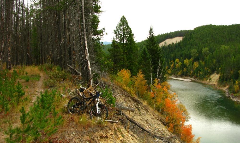 A mountain bike rests against a fallen log along a dirt trail bordered by dense evergreen trees. To the right, a calm river winds through a picturesque landscape featuring trees with vibrant autumn foliage, set against rolling hills under a cloudy sky. Flathead River Ranger Station mountain bike trail.