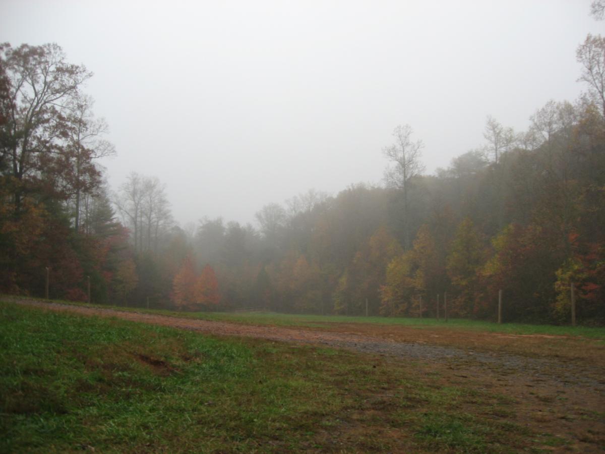 A misty landscape featuring a dirt path bordered by lush green grass, with trees displaying autumn foliage in varying shades of orange, yellow, and red. The scene is enveloped in fog, creating a soft, ethereal atmosphere. Bull / Jake Mountain mountain bike trail.