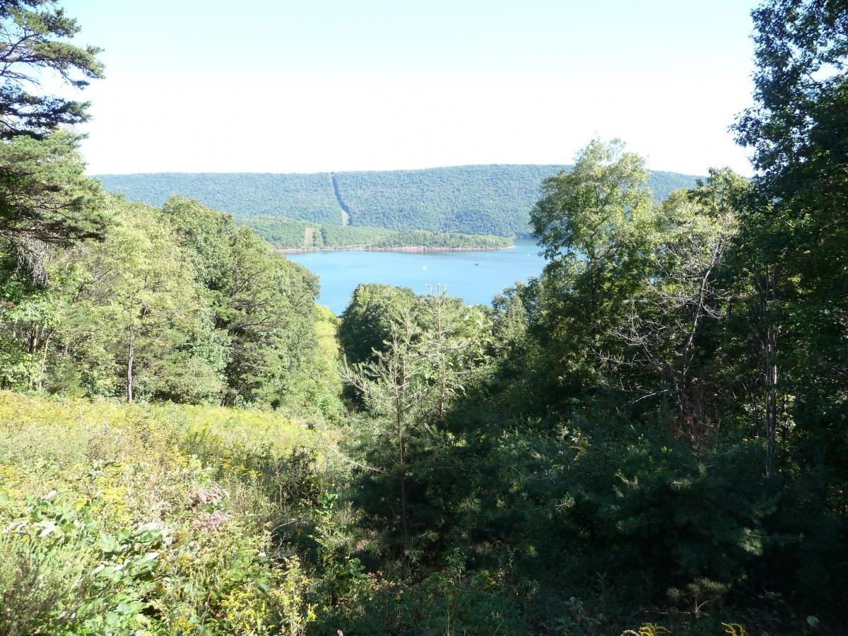 A scenic view of a lake surrounded by lush greenery and rolling hills under a clear blue sky. In the foreground, vibrant foliage extends towards the viewer, while the calm water of the lake reflects the landscape. The distant mountains create a serene backdrop. Allegrippis Trails mountain bike trail.