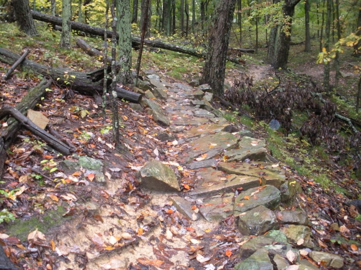 A rocky, winding path through a forested area, surrounded by trees with green and yellow foliage. The ground is damp with fallen leaves scattered along the trail, indicating recent rain. Logs and larger rocks are also visible, contributing to the natural, rustic landscape. Brown County Park mountain bike trail.