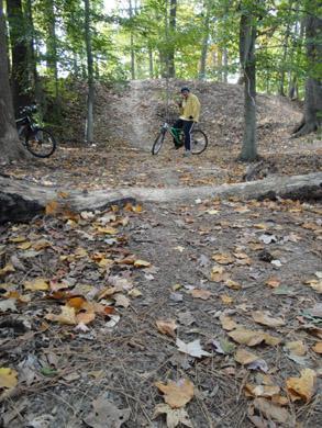 A cyclist in a yellow jacket stands next to a mountain bike on a dirt trail surrounded by autumn leaves and trees. In the background, a hilly area can be seen, indicating a biking path. The ground is covered with a mix of leaves and pine needles. Lake Maury mountain bike trail.