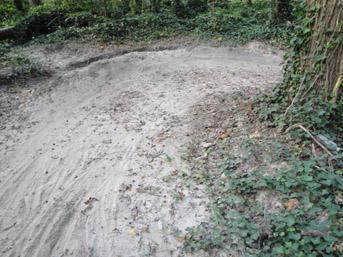 A winding dirt pathway in a wooded area, partially covered with leaves and ivy, leading through a natural setting. Lake Maury mountain bike trail.