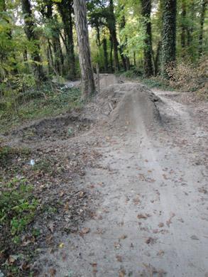 A dirt bike ramp in a wooded area, surrounded by trees and fallen leaves on the ground. The ramp is built up with dirt, leading into a bicycle path that winds through the forest. Lake Maury mountain bike trail.