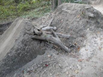 A dirt bike jump featuring a large pile of dirt with exposed roots and branches, surrounded by a natural forest setting. The jump is partially obscured by loose soil and leaves. Lake Maury mountain bike trail.