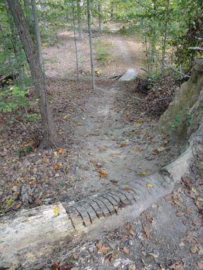 A wooded trail winding down a slope, with a fallen log partially visible on the left side of the path. The ground is covered in leaves, and trees surround the area, creating a natural forest setting. Lake Maury mountain bike trail.