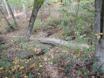 A wooden footbridge over a small creek in a forested area, surrounded by trees and autumn foliage. Lake Maury mountain bike trail.