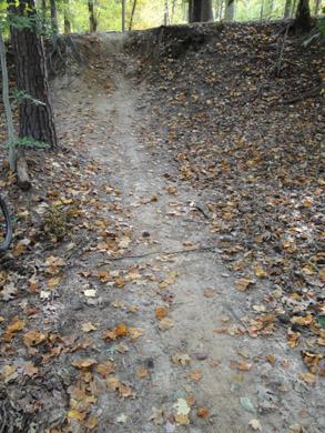 A dirt path winding through a forest, covered with fallen leaves in autumn. The path leads towards a slight incline, surrounded by trees. Lake Maury mountain bike trail.