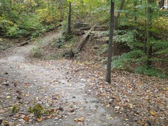 A winding dirt path through a wooded area, with fallen leaves scattered along the ground. In the background, trees with green and yellow foliage frame the scene, and a small incline is visible on one side of the path. Lake Maury mountain bike trail.