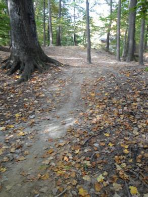 A dirt path winding through a forested area, surrounded by tall trees and scattered autumn leaves on the ground. The scene is bright and natural, suggesting a peaceful outdoor setting. Lake Maury mountain bike trail.