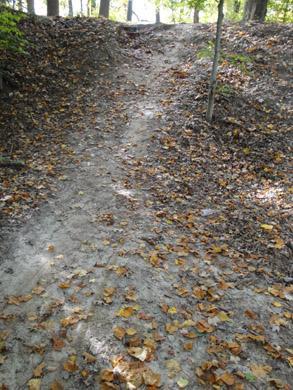 A dirt path leading up a small incline, surrounded by trees, with a carpet of fallen leaves covering the ground. Lake Maury mountain bike trail.