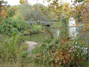 A serene landscape featuring a calm pond surrounded by lush greenery and autumn foliage. In the background, a small bridge crosses over the water, leading to a white building partially obscured by trees. The scene captures the tranquility of nature in the fall. Lake Maury mountain bike trail.