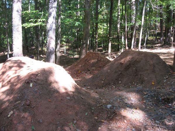 Three dirt mounds in a wooded area, surrounded by tall trees and dappled sunlight filtering through the leaves. The mounds are shaped for biking or skating, with a gravelly surface and scattered leaves and small stones on the ground. Big Creek mountain bike trail.