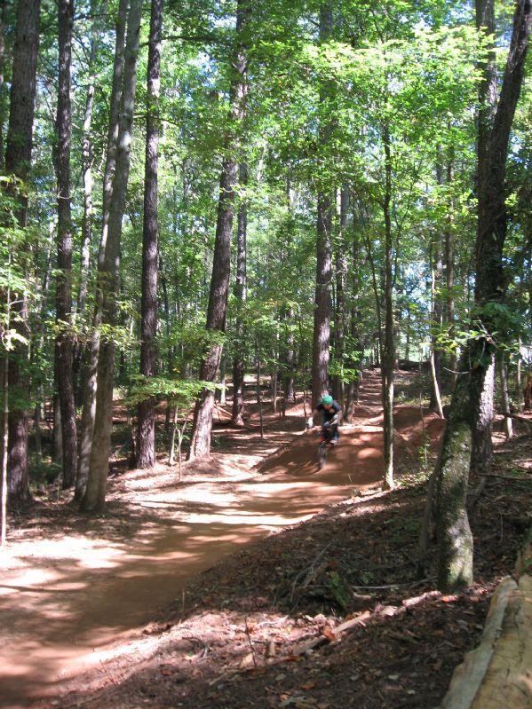 A mountain biker rides along a dirt trail surrounded by tall trees in a lush forest. The sunlight filters through the leaves, creating dappled shadows on the ground. The trail features a slight incline, and the biker is captured mid-motion, navigating the natural landscape. Big Creek mountain bike trail.
