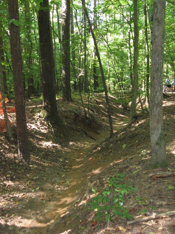 A narrow dirt path winding through a lush, green forest, surrounded by tall trees and dappled sunlight. The trail is bordered by earthy soil and scattered leaves, indicating a natural, wooded environment. Big Creek mountain bike trail.